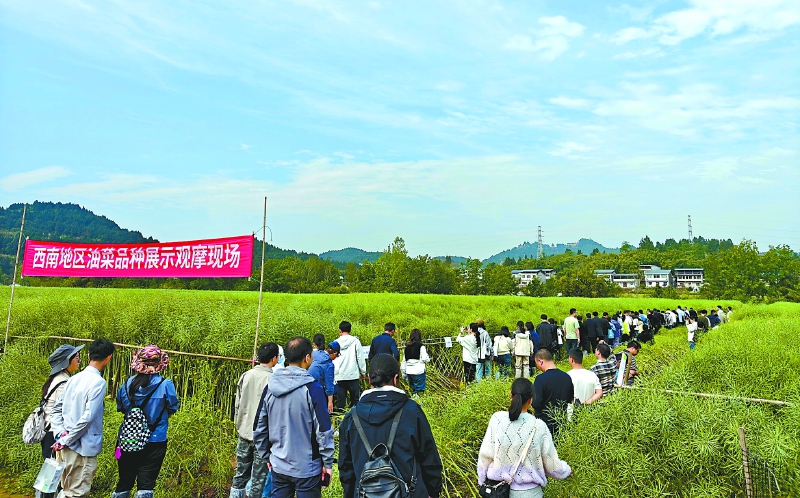 百余专家共探种业创新与产业升级