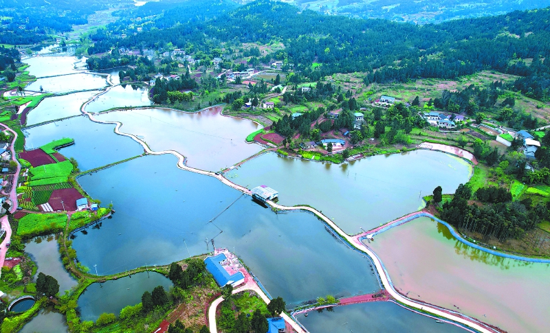 从育苗到鱼松酱 一条鱼“游”出致富路