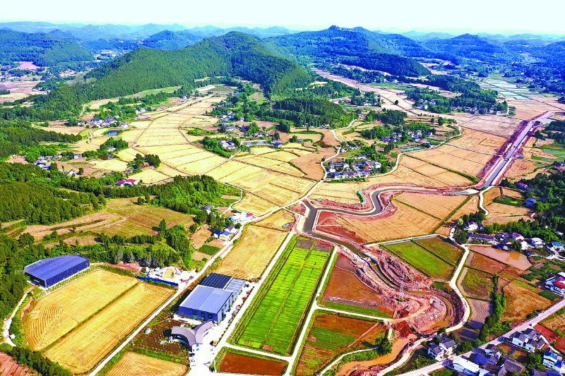 西充田野上演农忙接力赛