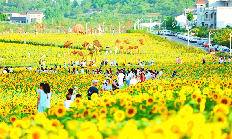 培育田园新业态 释放乡土新活力